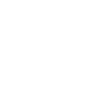 Galileovariadores
